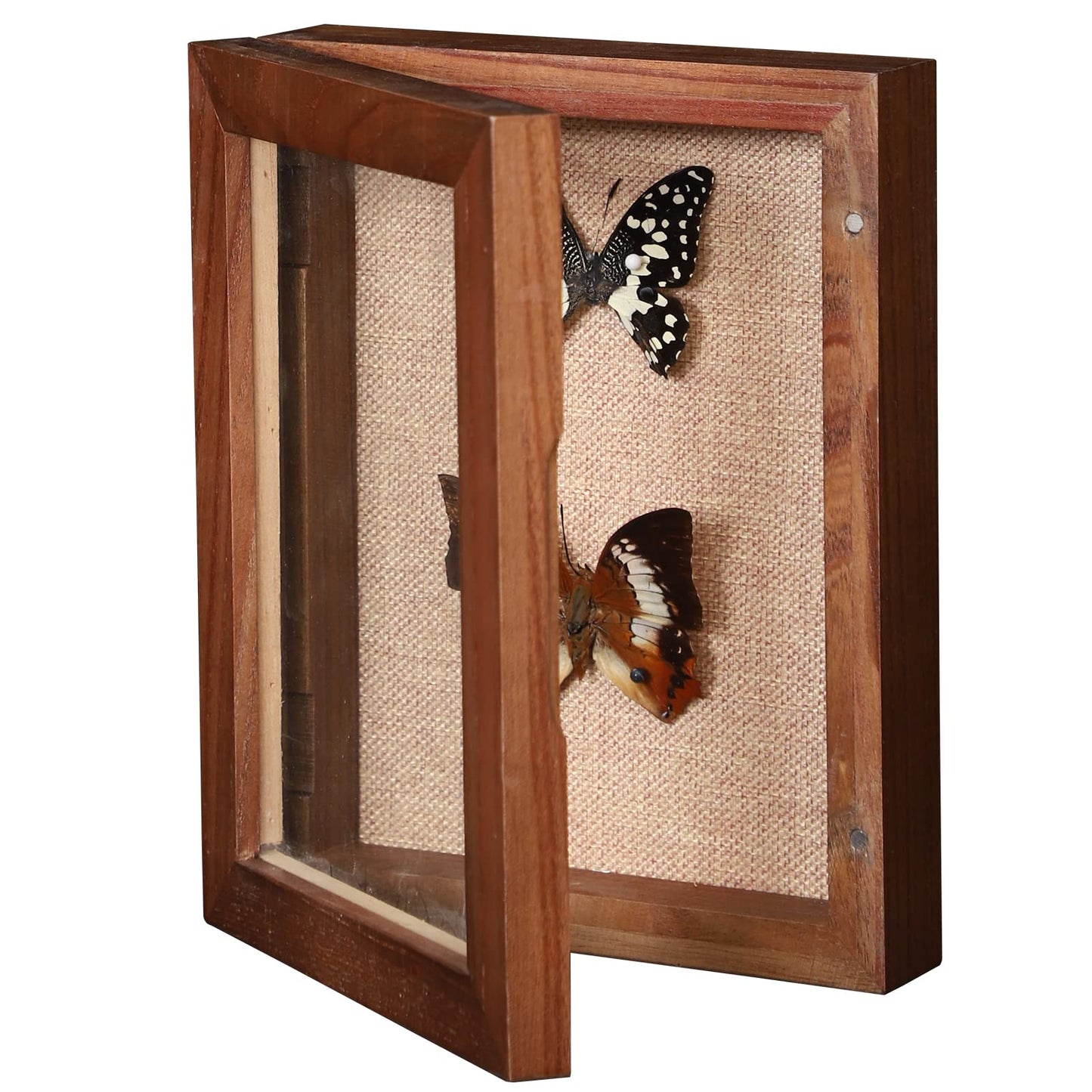 BECTSBEFF 5x7 Shadow Box with Glass, Small Shadow Boxes Display Cases with Door for Shells Taxidermy Keepsake Photos Tickets Coins - Walnut