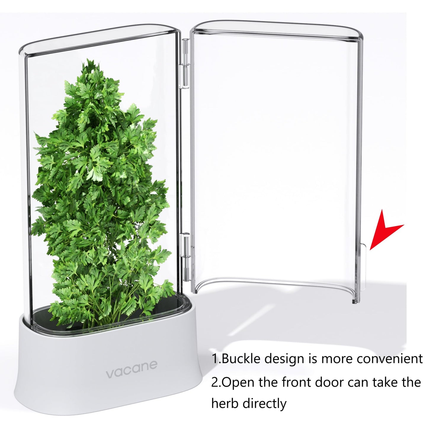 vacane Green Saver Herb Keeper – Refrigerator Storage Container for Cilantro, Asparagus, Fresh Herbs, Dishwasher Safe, Extends Freshness 10 Days – 2 Pack