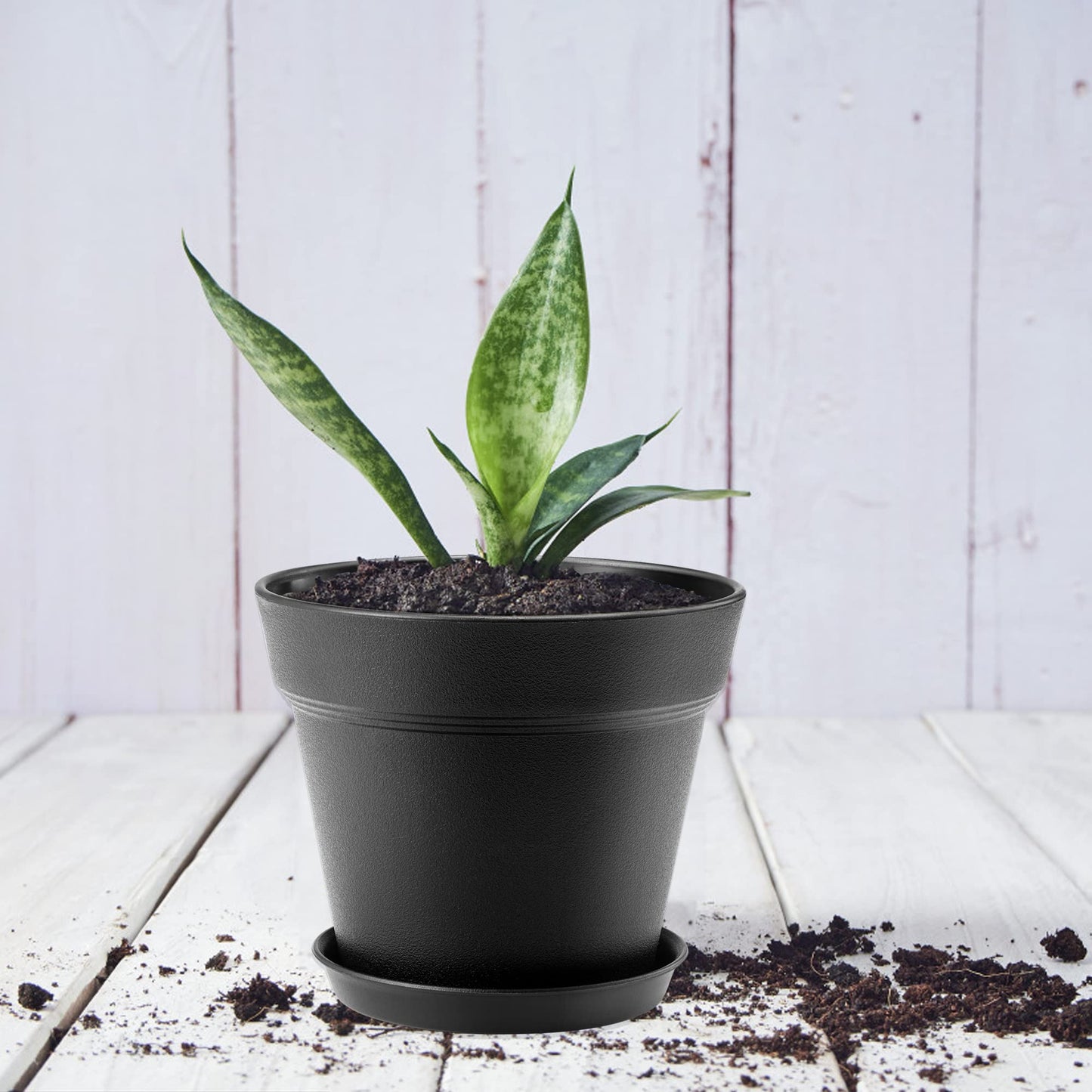 FHWTY 16 Pack Plastic Plant Pots with Drainage Holes and Tray, 4 inch Thickened Indoor Planters Seedlings Nursery Pots for Flowers, African Violet, Succulent and All House Plants, Black