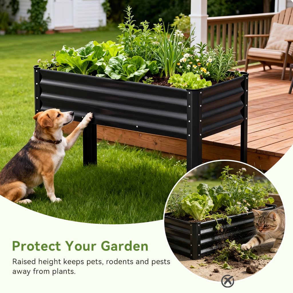 COMHOMA 2 Pack Raised Garden Bed with Legs 4x2x2.5ft,Large Elevated Galvanized Metal Planter Box with Drainage Holes,Outdoor Growing Kit with Gloves Tools for Backyard Patio Lawn,Black