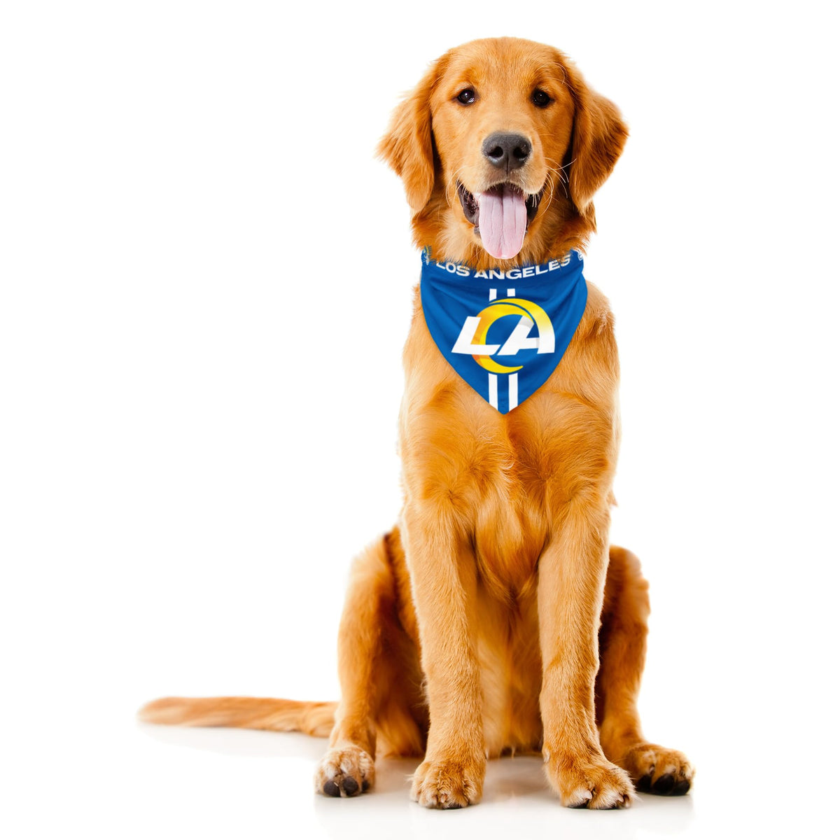 Littlearth NFL Seattle Seahawks Pet Bandana, Team Color, Medium