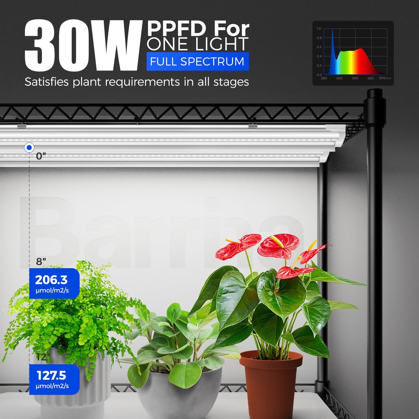 Barrina CX5 Plant Stand with Grow Lights for Indoor Plants, 4-Tier Plant Shelf with T8 3FT 180W Full Spectrum Grow Light for Seed Starting, Succulent, Timer Socket, Greenhouse, 35.4"x13.8"x59"
