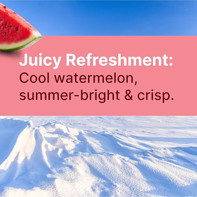 Watermelon KETO Xylitol Candy Chips - SNØ 1.5oz Tin - Sugar-Free Candy With Only 2 Ingredients | Low Carbs, Diabetic-Friendly, Non-GMO, Vegan, GF & Kosher | Purest candy in the world!
