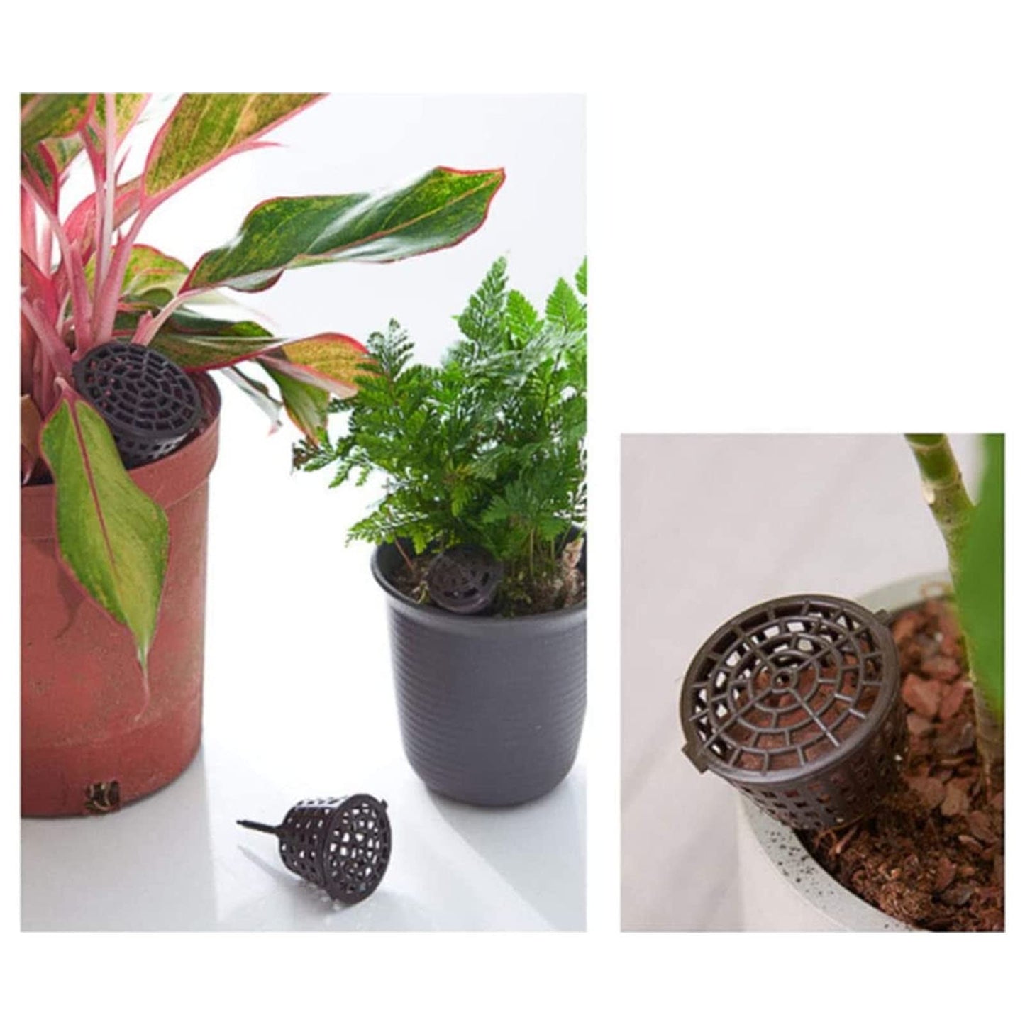 100PCS Bonsai Fertilizer Cups, Plastic Fertilizer Mesh Basket with Lid, Planting Fertilizer Net Pot, Garden Nutrition Box Tools for Succulents and Orchids (Small Size with Lid)