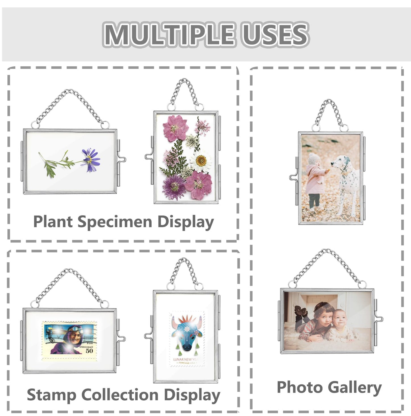 2Pcs Double Glass Frame for Pressed Flowers, 2x3 inch Picture Frame Mini Brass Wall Hanging Photo Frames Floating Frame with Chain for Plant Specimen Artwork Display Home Wall Decor (Silver, Horizontal)