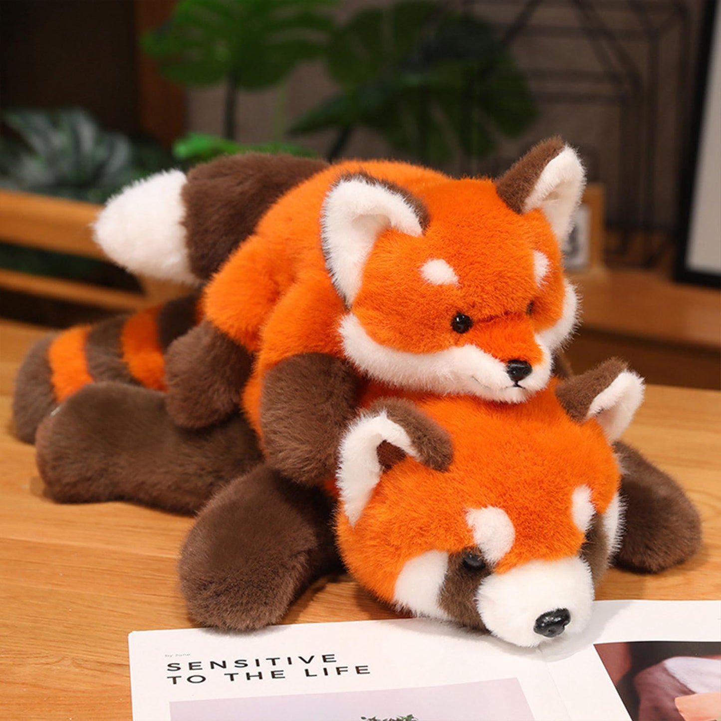 Ditucu Fox Stuffed Animal Realistic Plush Toys Cute Soft Hugging Plushies Gifts for Kids 22 inch