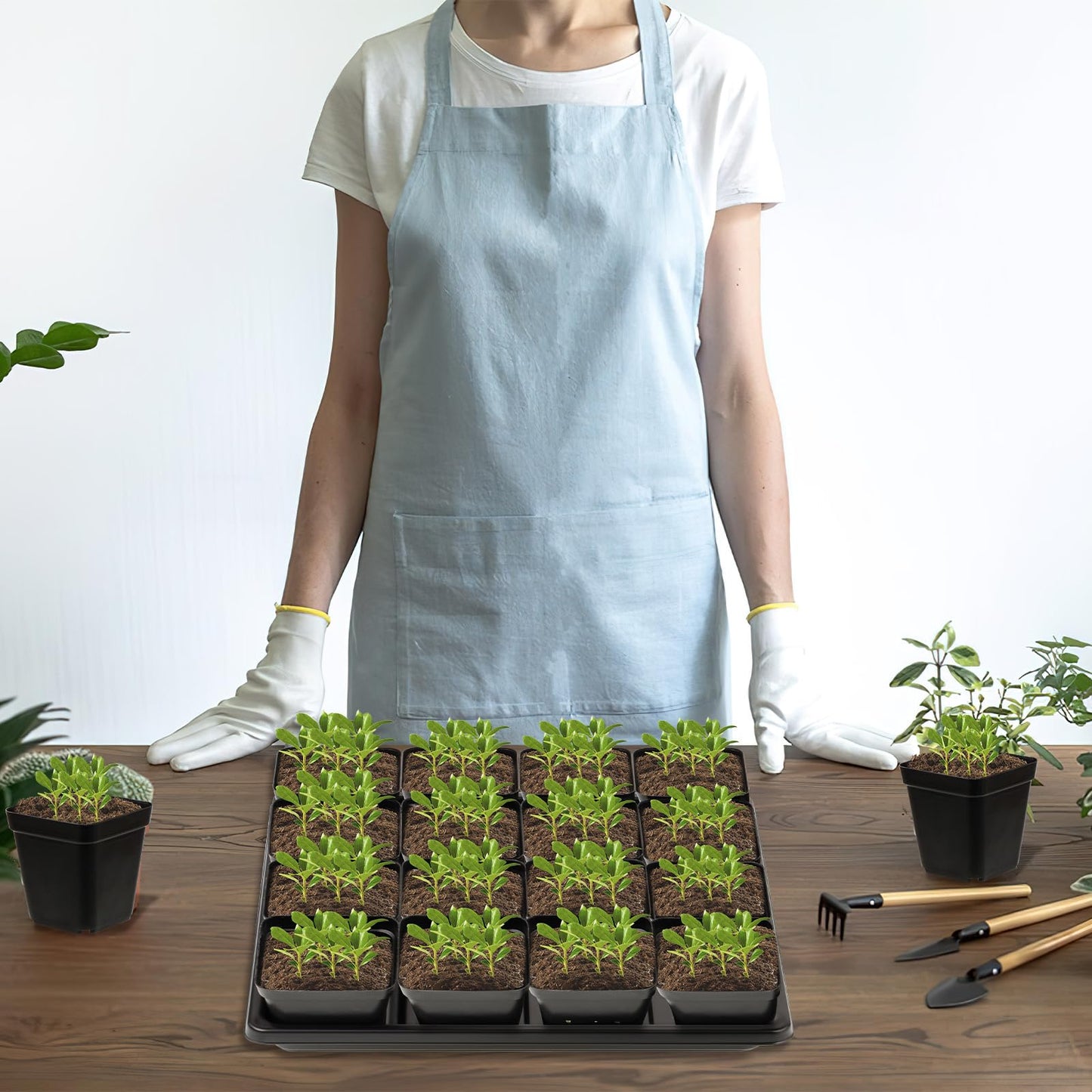 CIEOVO 2.4 inch 80 Pcs Square Nursery Pots with Drain Holes and 5 Pcs Plastic Plant Growing Trays, Seed Starter Kit Propagation Tray Seed Starting Pots for Seedling Plant Growing