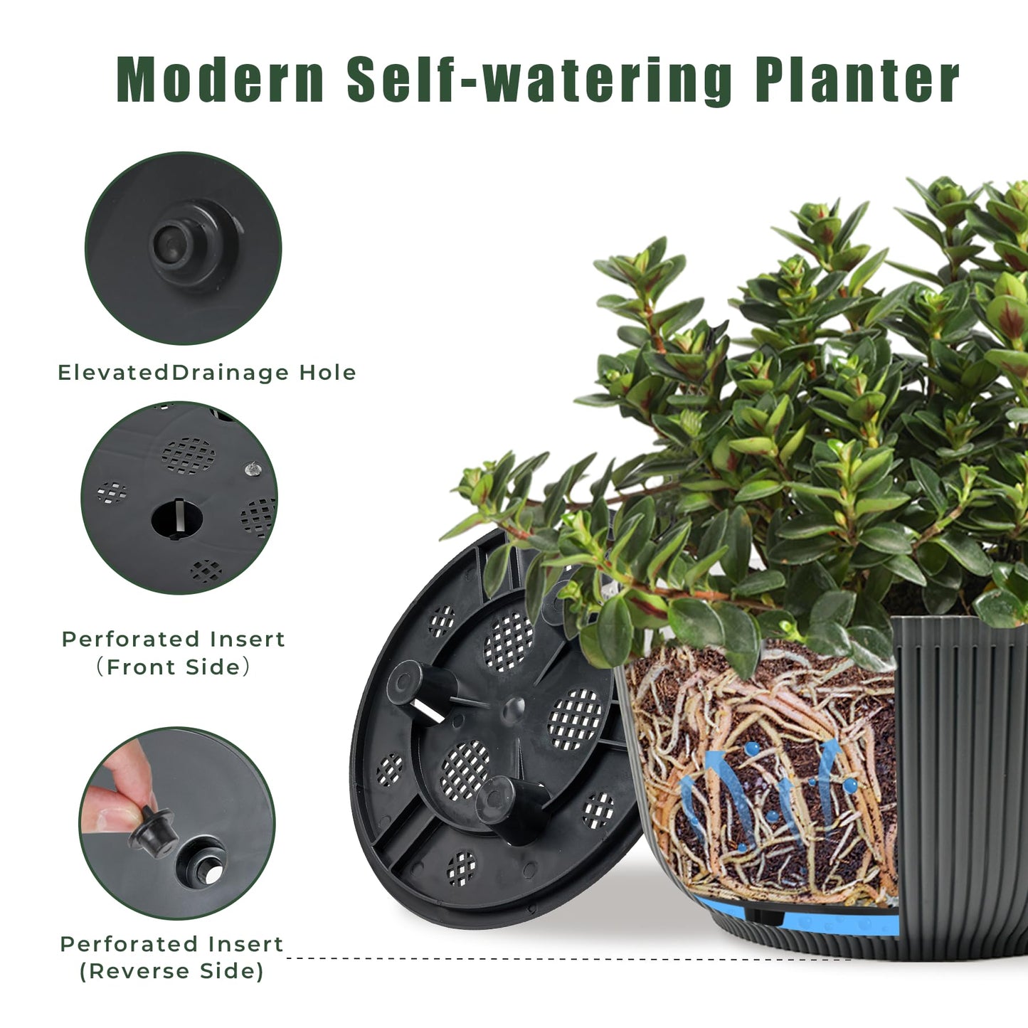 T4U 10 Inch Self Watering Pots for Indoor Plants, 2 Pack Large Plant Pots, Self Watering Planter for Indoor Plants, Durable Plastic Pots (2 Pack,10", Gray)