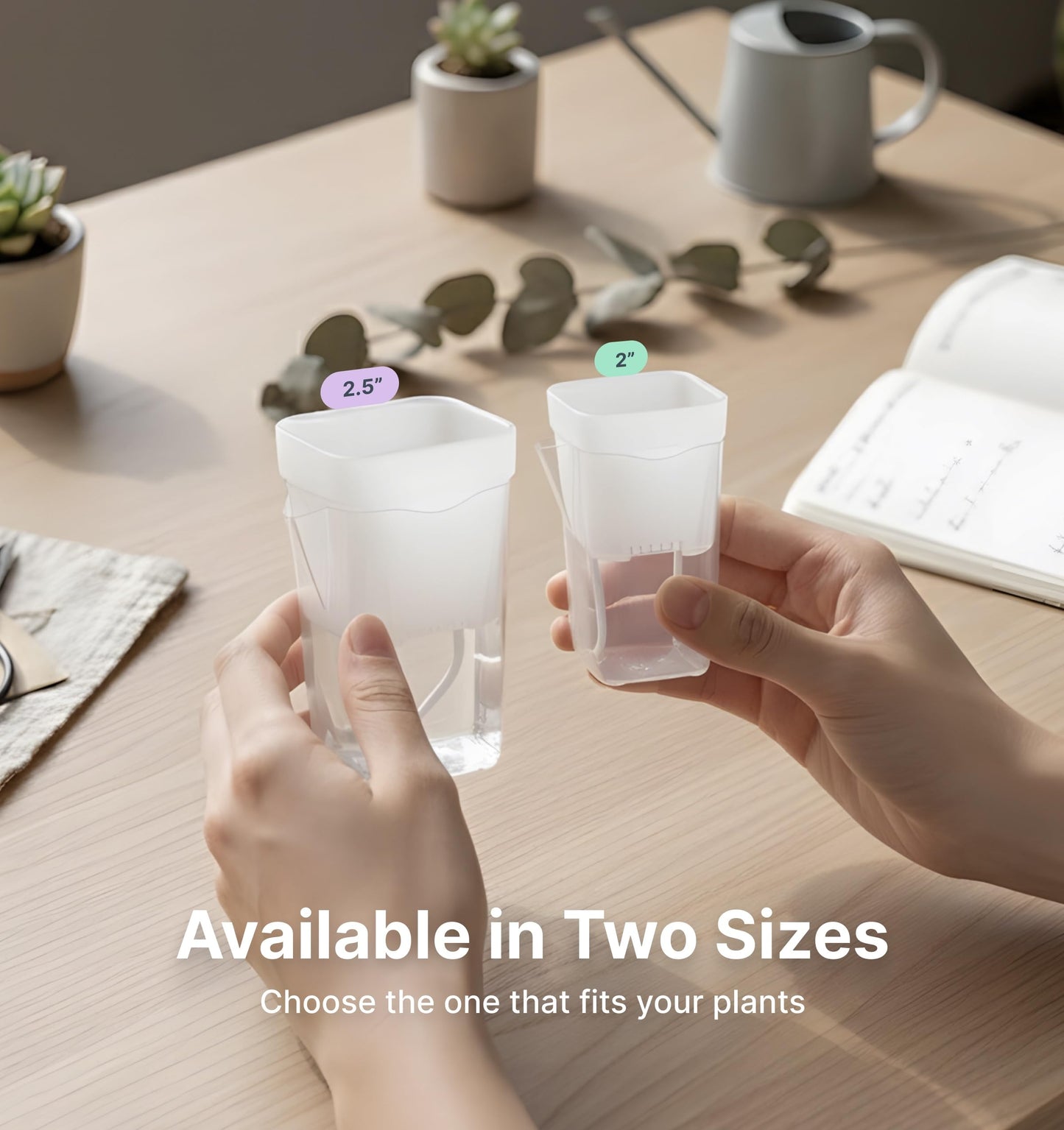 Vandorelle 12 Pack 2" Mini Self Watering Pots for Indoor Plants,Small Clear Plastic Planters,Alocasia Corm Propagation,African Violet,Cutting,Seeding,Water Level Indicator,Drainage Hole,12 Plant Label