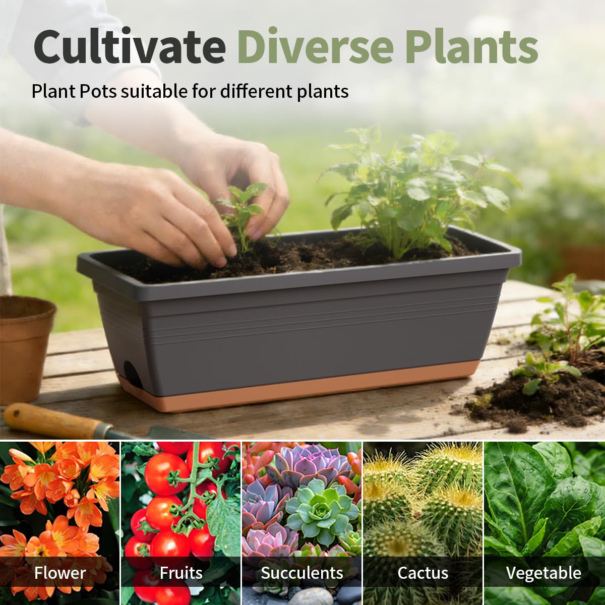 LESOASIS Window Box Planter, 6 Pack Plastic Vegetable Flower Window Planters Boxes 16 Inches Rectangular Flower Pots with Drainage Holes and Saucers (Grey)