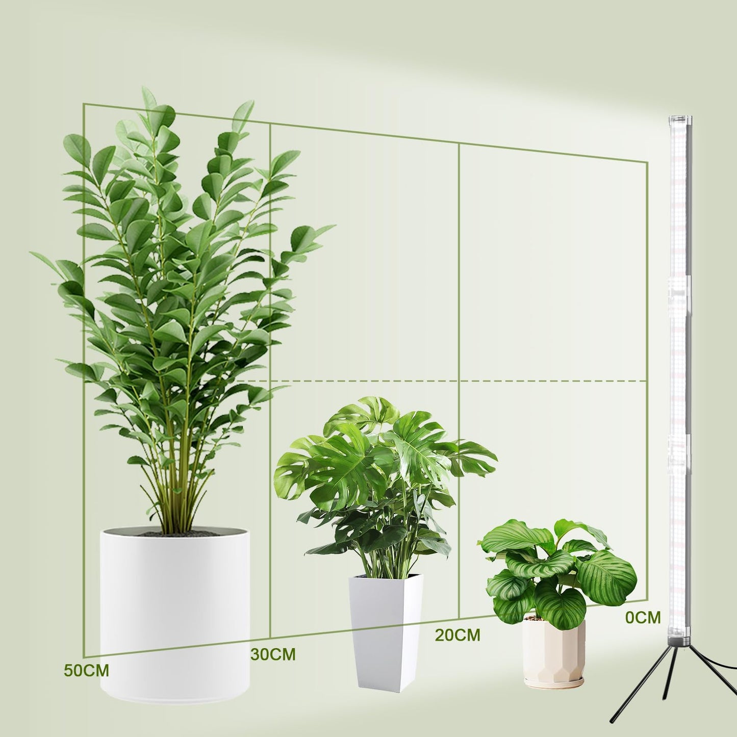WeeLeeGoo Super-Bright 48" T10 Plant Lamp, 6000k Full Spectrum Standing Grow Light, 3 Modes & 5 Dimming Levels, Timer 4/8/12H,12V/3A High Power Output for Large & Tall Indoor Plants