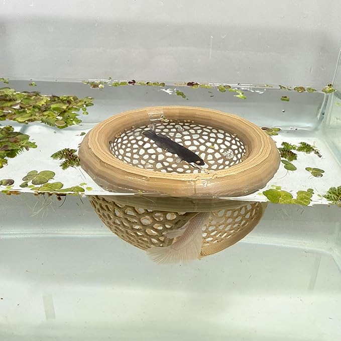 Aquarium Floating Betta Fish Skins, Betta or Shrimp Feeder, Cave and Hammock, Small Fish Feeding Rings, Aquarium Hiding Feeding Decorative Accessories (Cyan)
