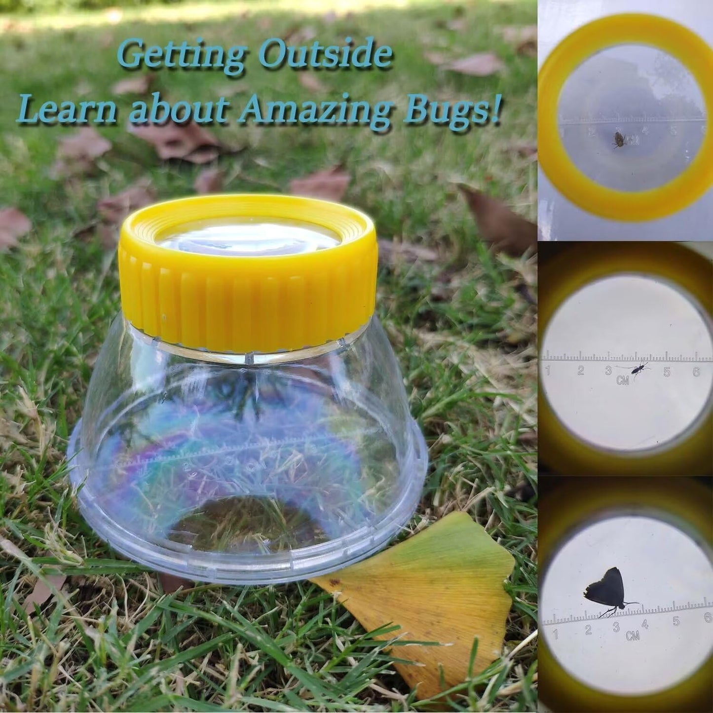 Bug Cather 5X Magnifyer Insect Jar Observation Kit Bug Viewer Built-in 7cm Ruler with 2 Plastic Tweezers Bug Catcher Kit for Kids Science Nature Exploration (4Pack, Yellow)