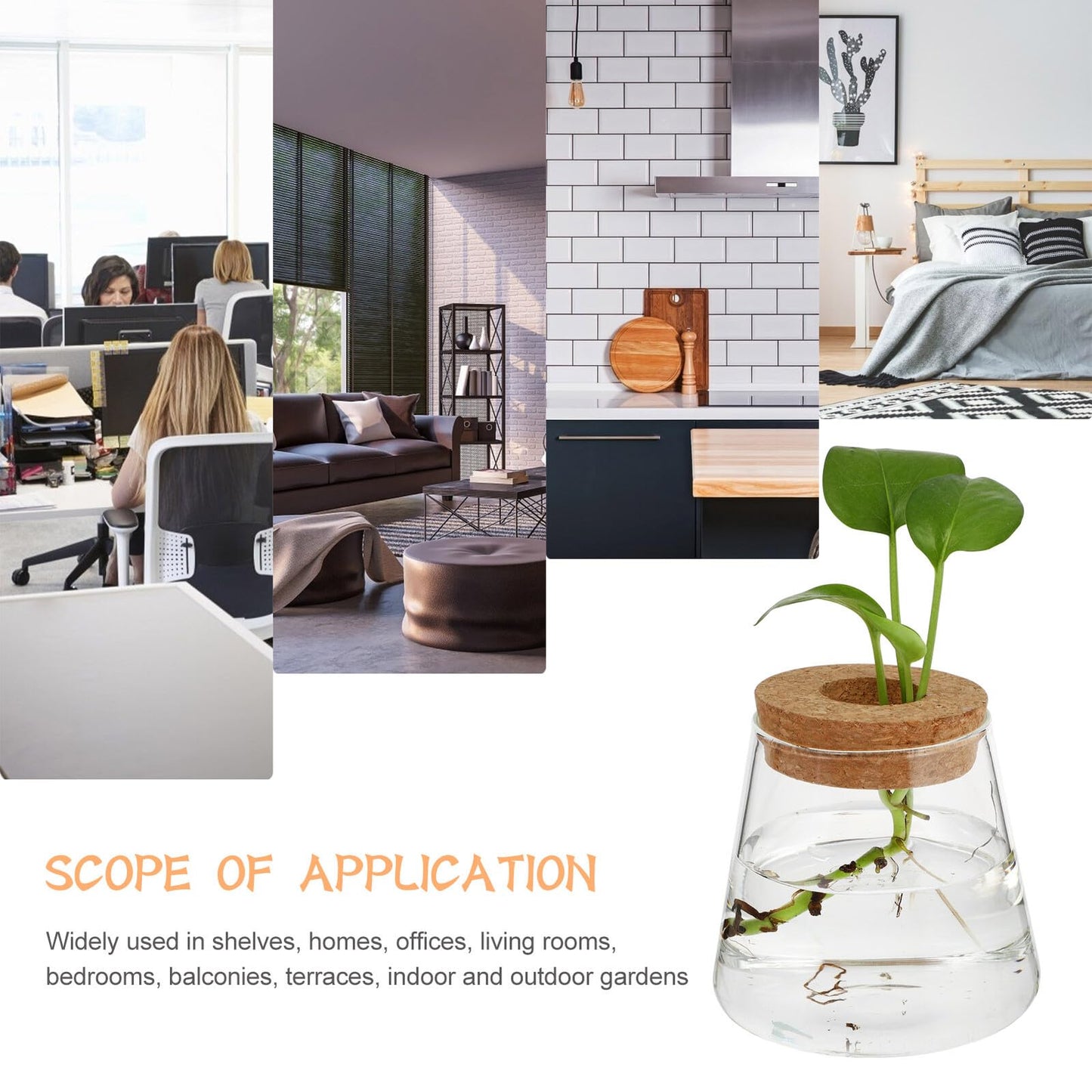 Healifty 2pcs Hydroponic Glass Planter Vases 6.5cm Mouth Diameter Glass Terrarium Plant Containers for Home Office Garden Decoration