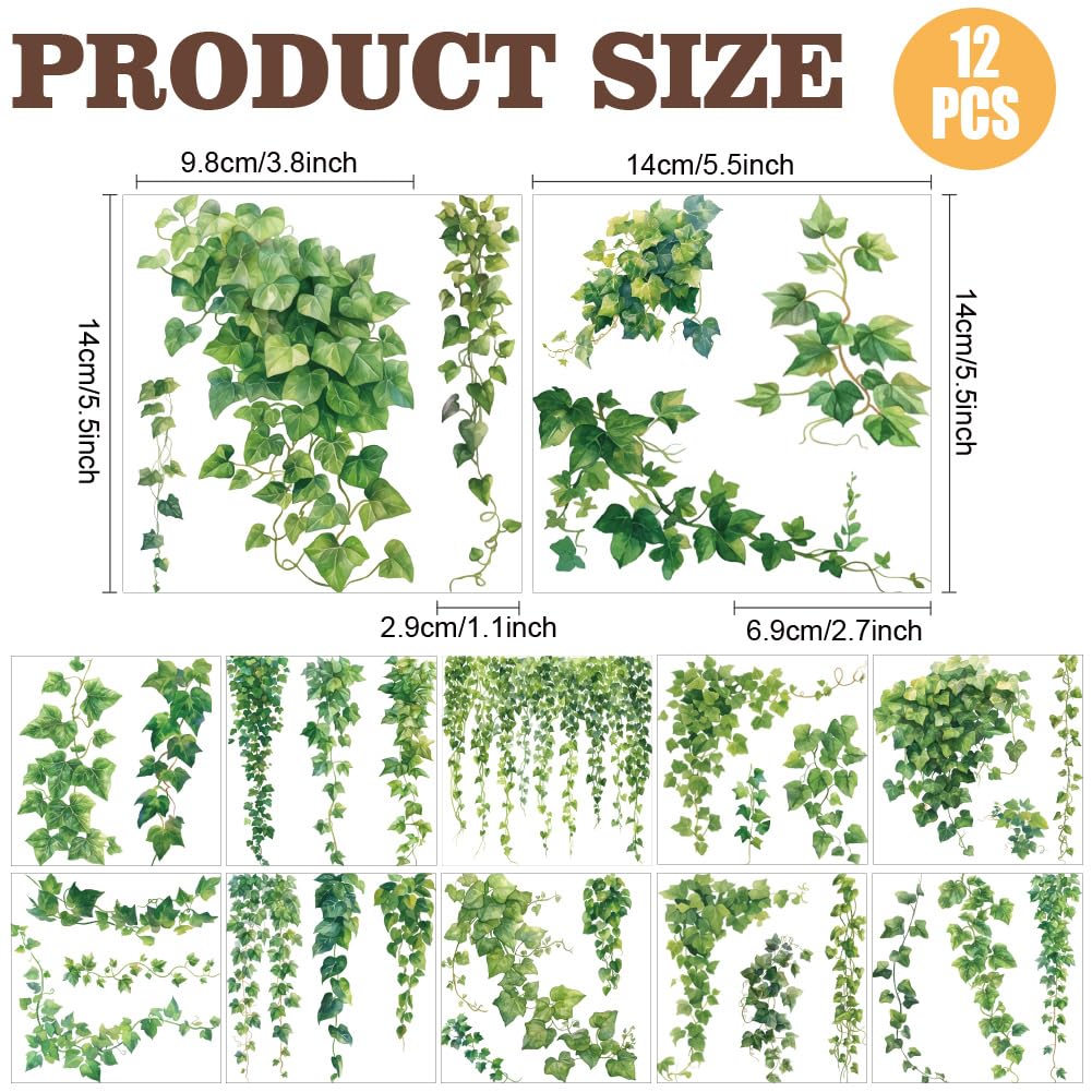 AHANDMAKER 12 Sheets Beautiful Green Ivy Leaves & Vine Rub On Transfer Stickers Green Plants Windows Decorative Transfer Stickers for Study Room, Bookstore, Coffee House Home Décor, 5.5x5.5"