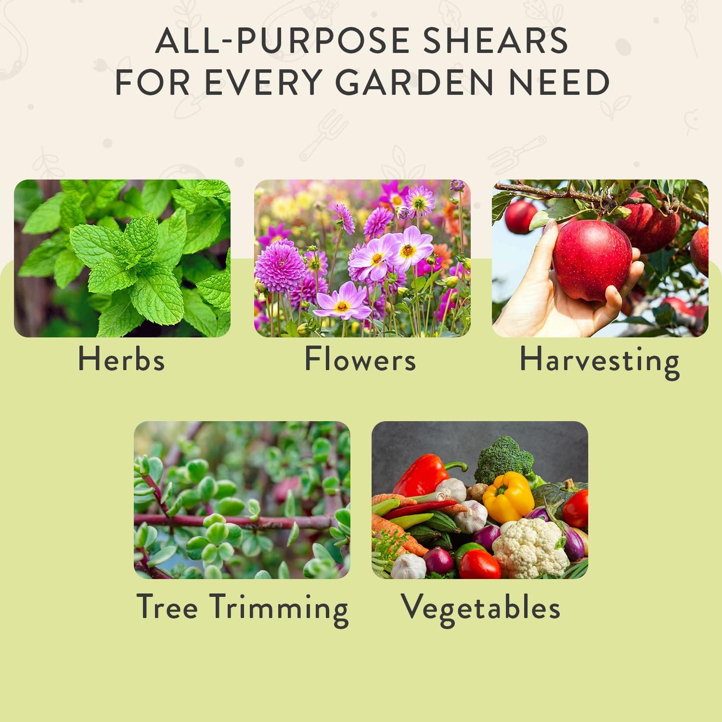 Modern Sprout Pruning Shears - Herb Snipping Scissors- Lightweight Gardening Tools W/Easy Lock - Flower Cutter Garden Shears - Carbon Steel Blade + Reusable Holster (Chartreuse, 1-Pack)