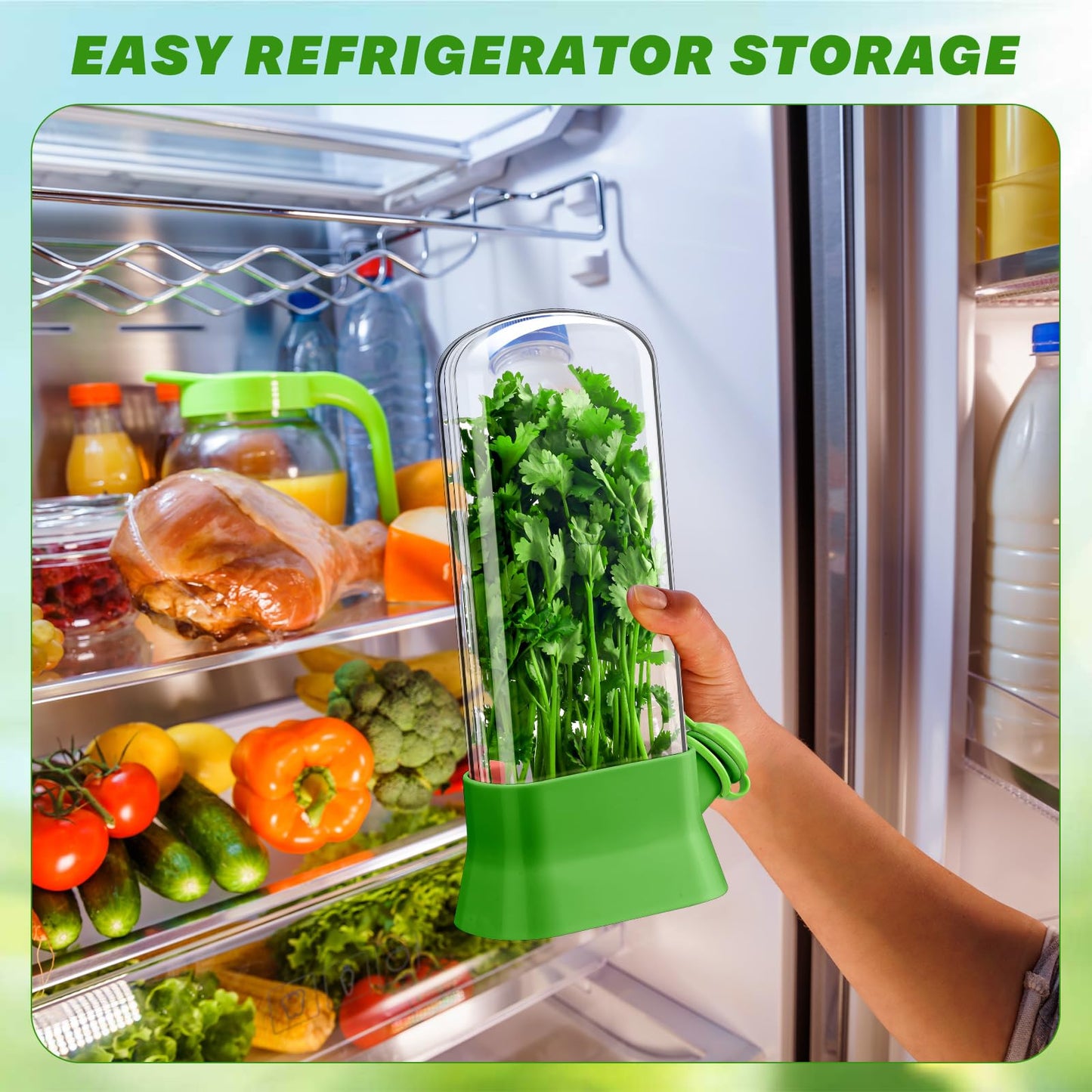 Baderke 2 Pieces Herb Saver for Refrigerator Fresh Herb Keeper Cilantro Container for Fridge Saver Pod for Cilantro, Parsley, Asparagus, Keeps Vegetables for 2-3 Weeks(Green)