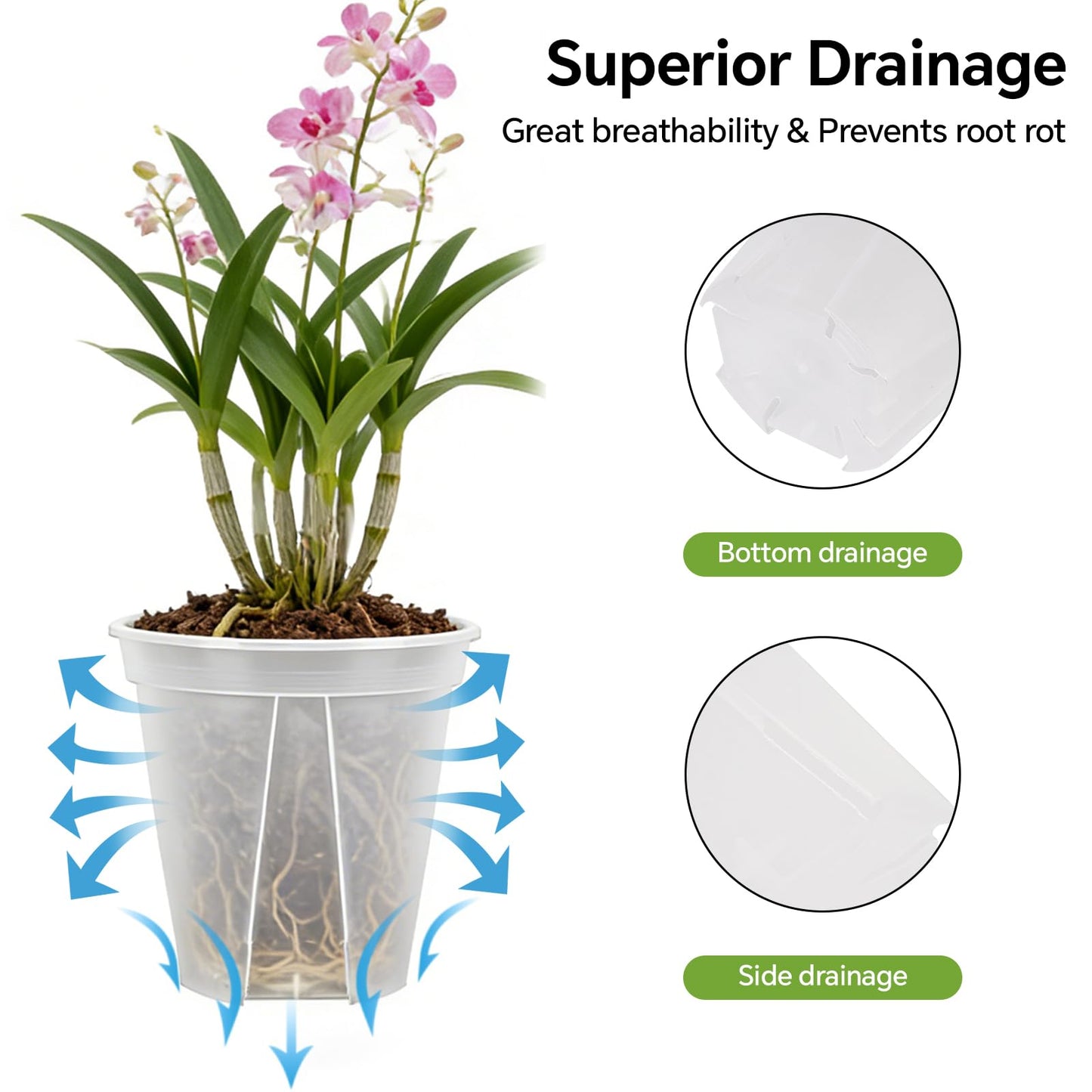 THMFHMW 6/8/10/12 Inch Large Clear Nursery Deep Pots with Drainage Hole 12 Pack, Deep Plant Pots with Drainage for Seedling Flower Vegetable, Ideal for Hyacinths, Amaryllis, Reusable Deep Pots