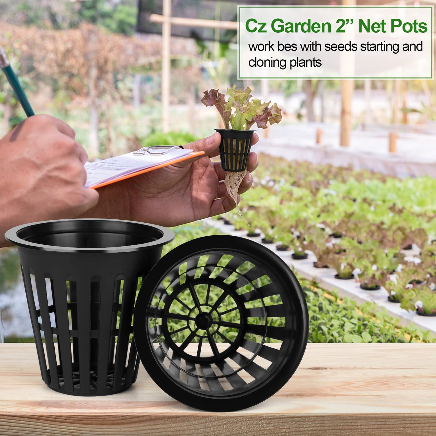 HXSEMAYIG 100PCS 2 inch Net Pots,Hydroponics Cup, Net Cups for Indoor or Outdoor Growing