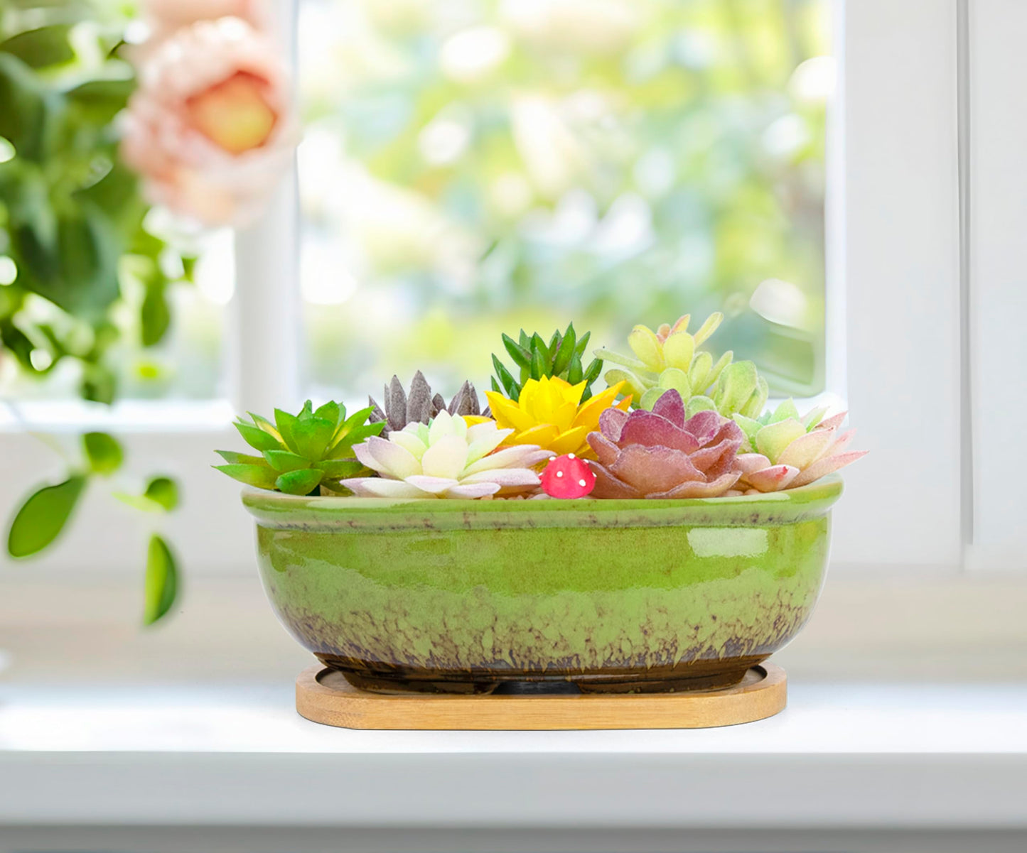 Succulent Pots, 1 Rectangle Planter + 1 Ceramic Bonsai Pot with Drain Tray, 2 Pack Large Shallow Succulent Planters for Indoor Plants, Round Cactus Flower Plant Pot for Desk Windowsill Decor