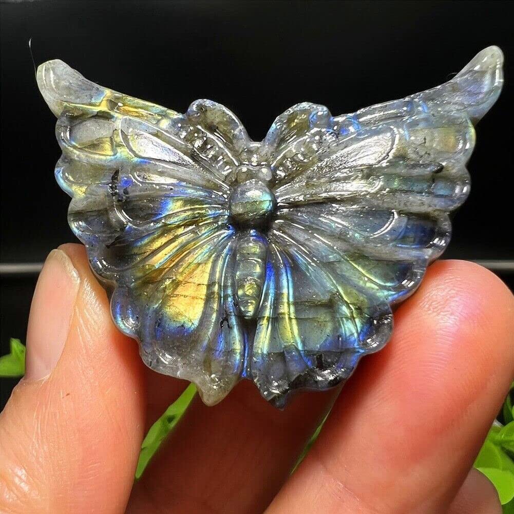 TEAMWILL 2" Natural Labradorite Carved Butterfly Skull Quartz Crystal Healing Reiki