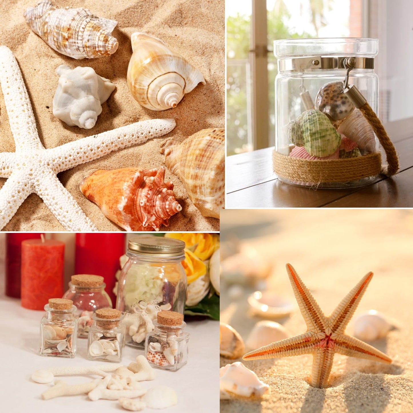 Fangoo 1.5 LB Mixed Sea Shells, 130+ PCS Beach Seashells Starfish Oyster Shells Various Sizes Ocean Seashells for Fish Tank Vase Fillers Beach Theme Party Wedding Decor DIY Crafts Home Decorations