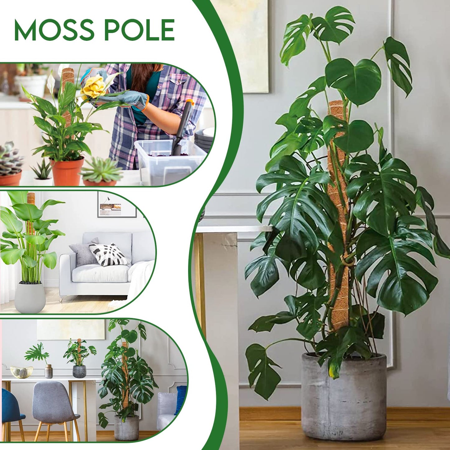 [4 Pack] 49 Inches Moss Pole- Moss Pole for Plants Monstera- Moss Poles for Climbing Plants- 2 Pcs 17” and 2 Pcs 15” Plant Stakes for Indoor Plants.