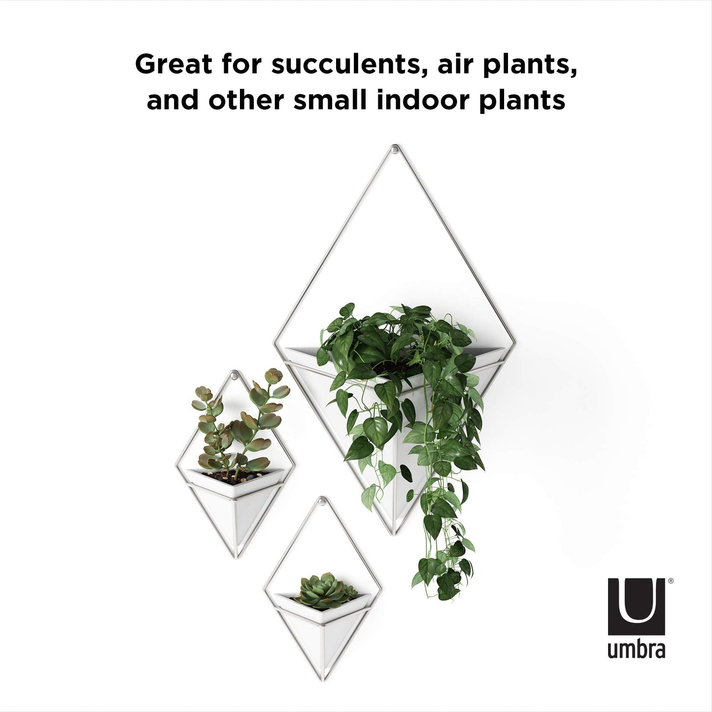 Umbra Trigg Hanging Planter Vase Wall Decor, Set of 2 Pots Containers for Succulents, Cactus, Faux Plants, and More, Small, White/Nickel