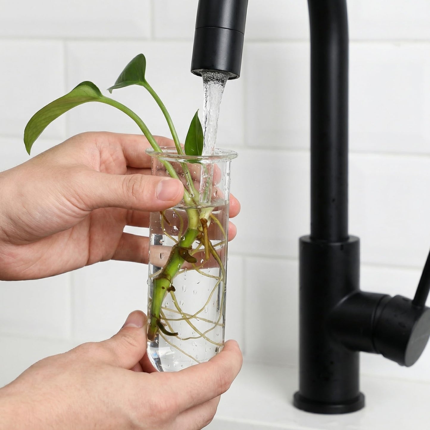 POPETPOP Plant Propagation Tubes 4pcs Glass Test Tube Vase Replacement Clear Hydroponic Flowers Vase for Home Office Desktop Decoration