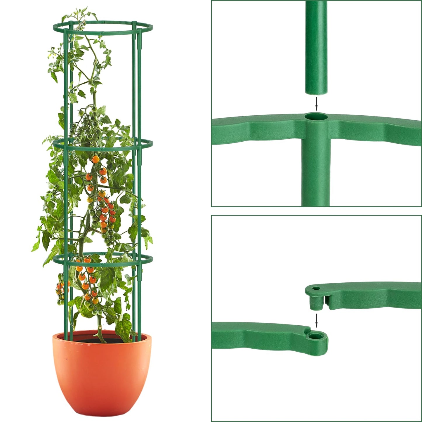 24 Pcs Plant Support Stakes, Half Round Plant Support for Indoor Plants, Stackable Garden Flower Support, Plant Stakes for Tomato, Monstera, Peony, Hydrangea Climbing Plants (6.2 "Wide X 11.6" High)