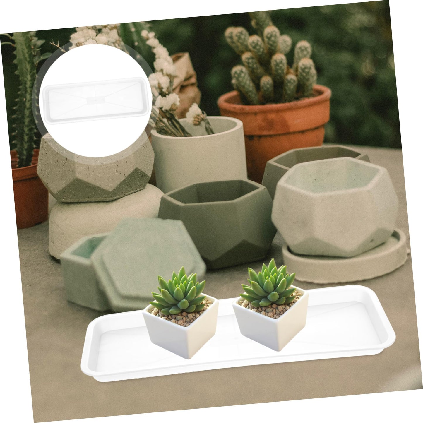BESPORTBLE 10pcs Plant Drainage Trays Flower Pot Saucers Water Catching Trays for Indoor Plants