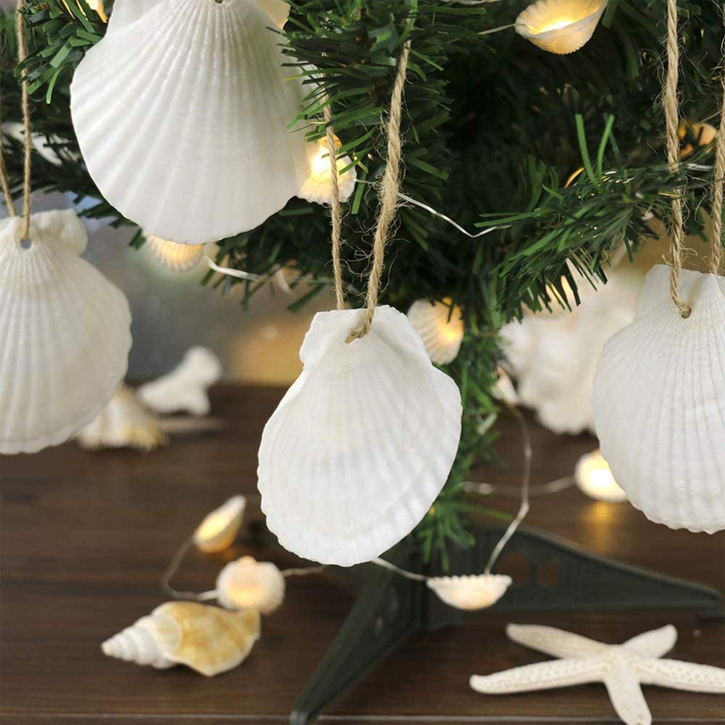 16PCS Natural Sea Shells 2.5"-3.5" Perforation Scallop Shells with Rope,for Christmas Tree Ornaments & DIY Hanging Home Deocration Craft Shells