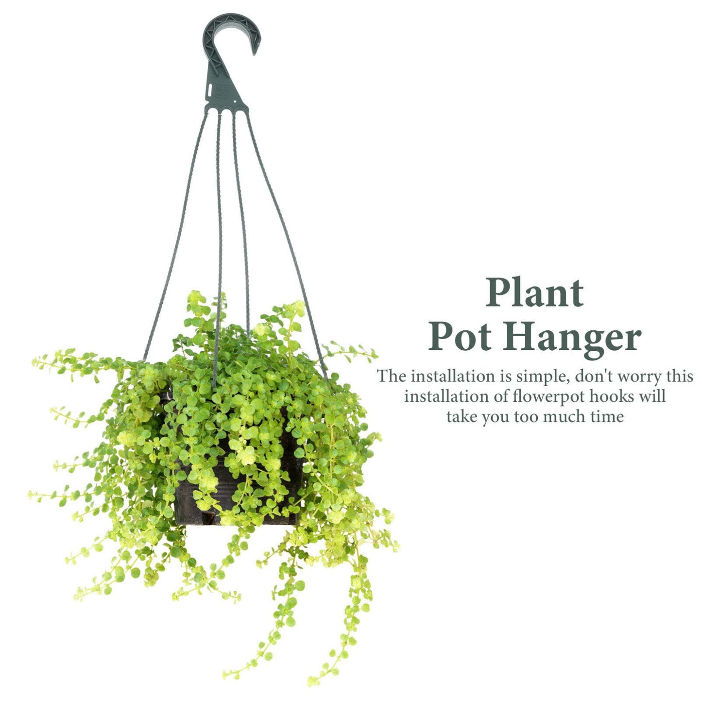 Yardwe 5Pcs Plastic Hanging Basket Hooks for Plants, 4-Prong Detachable Pot Hangers for Balcony, Porch, Garden, Indoor and Outdoor Use