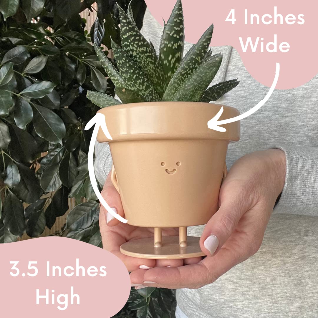 Cute Indoor Plant Pots Set of 3, Unique Plastic Succulent Pots for Plant Lovers (Plants NOT Included)