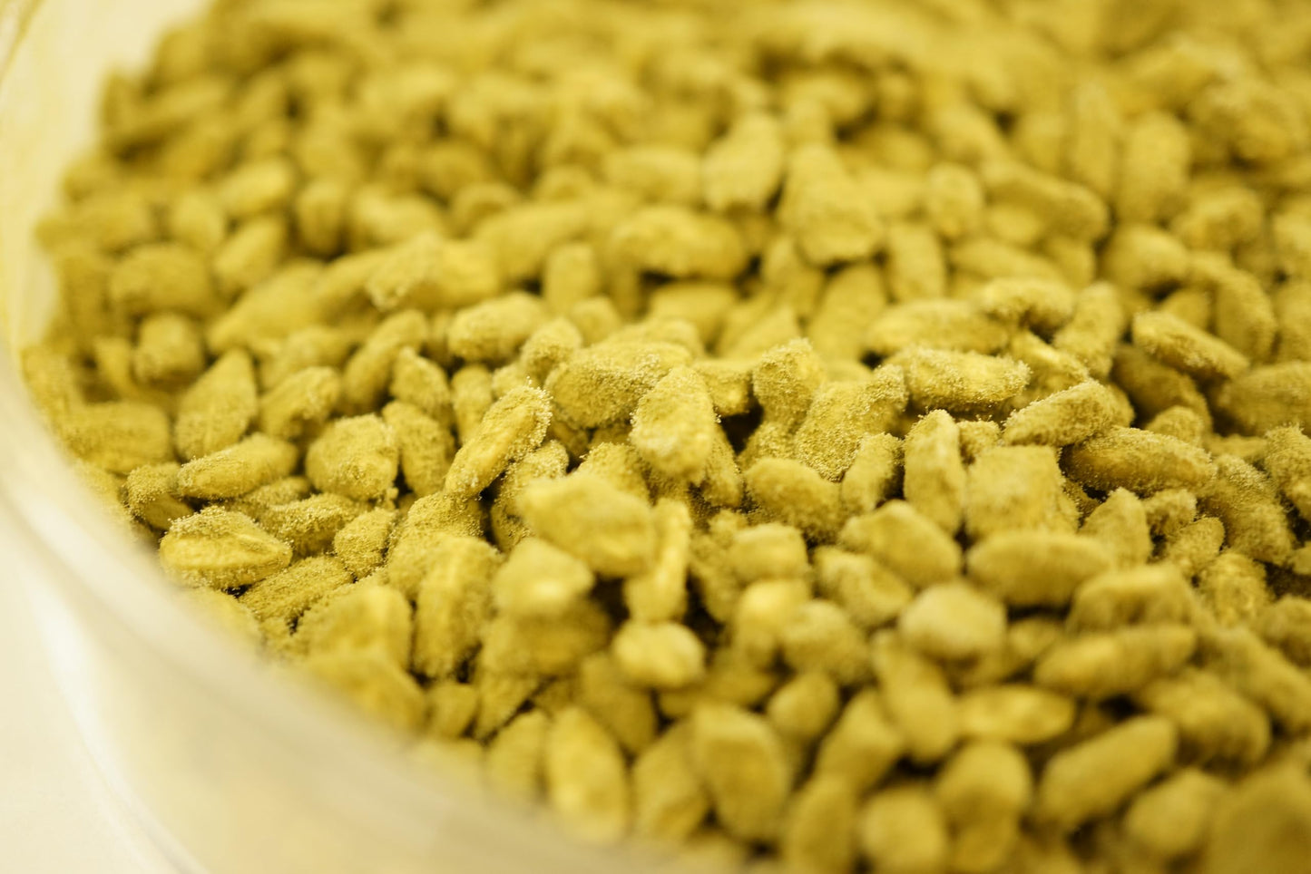 Kawachi Yellow Koji Starter Spores, 0.53oz (15g) Tane-koji oryzae Mold Spore Starter for Japanese Fermented Foods, miso soy sauce