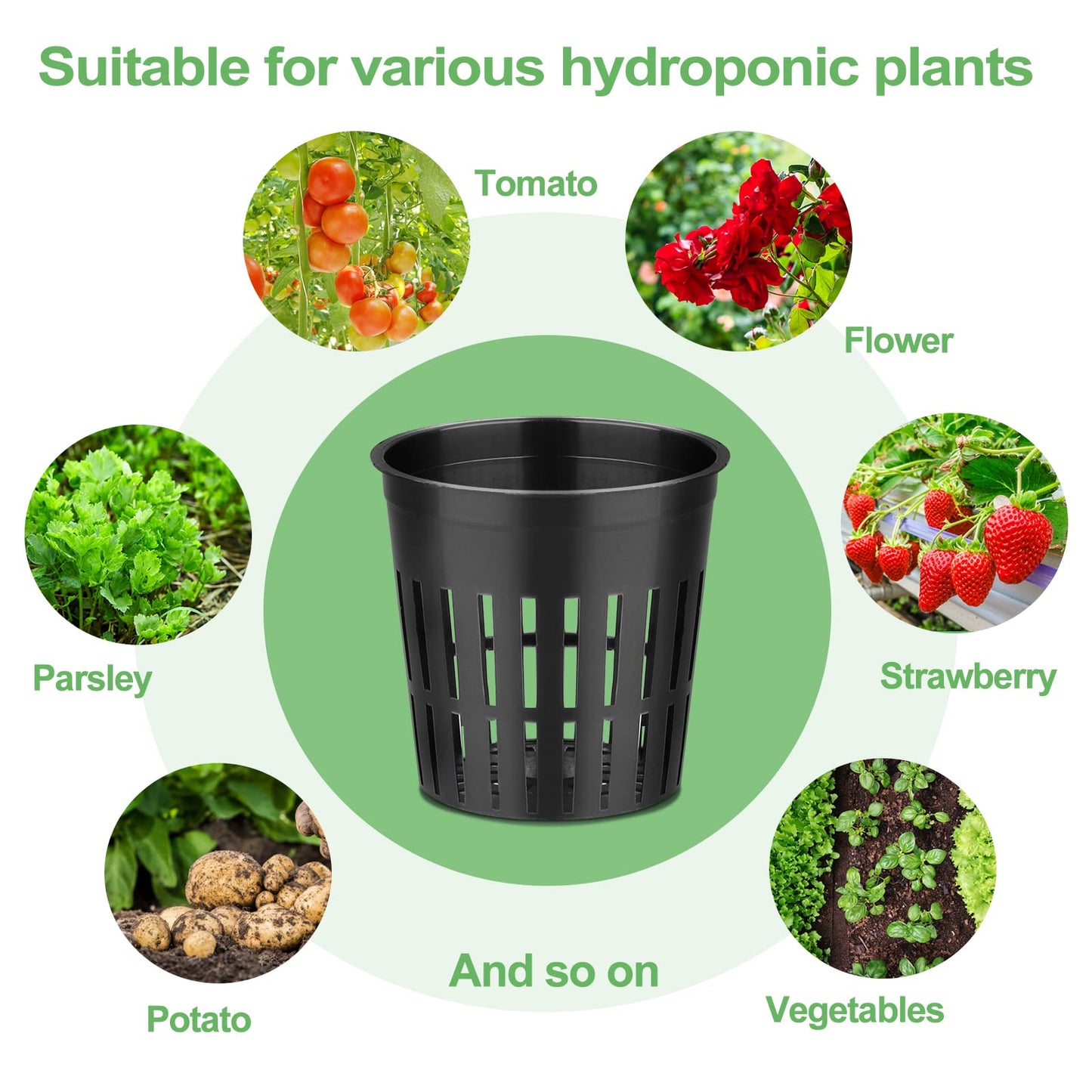 Reeooue 500-Pack 2 Inch Hydroponics Net Pots - Slotted Mesh Net Cups for Plant Growing System - Self Watering Baskets for Indoor and Outdoor Plants, Hydroponics Supplies Kit