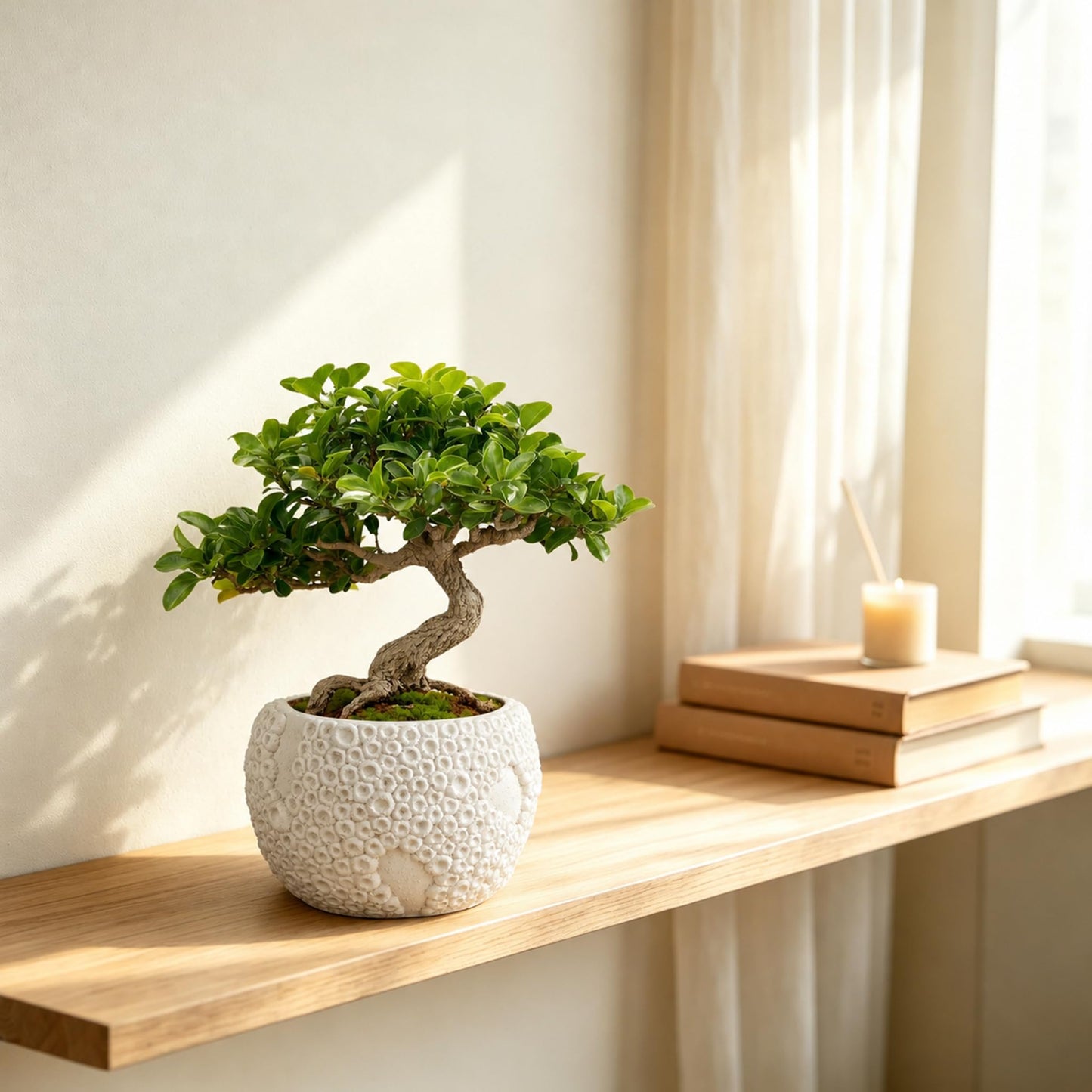 Small Ceramic Bonsai Pot with Drainage Hole, 4 Inch Decorative Bonsai Planter Pot with 3D Coral Texture, Small Ceramic Pots for Plants, Succulents, Cactus, Herbs, Mini Bonzai Tree, Flower Pot, White