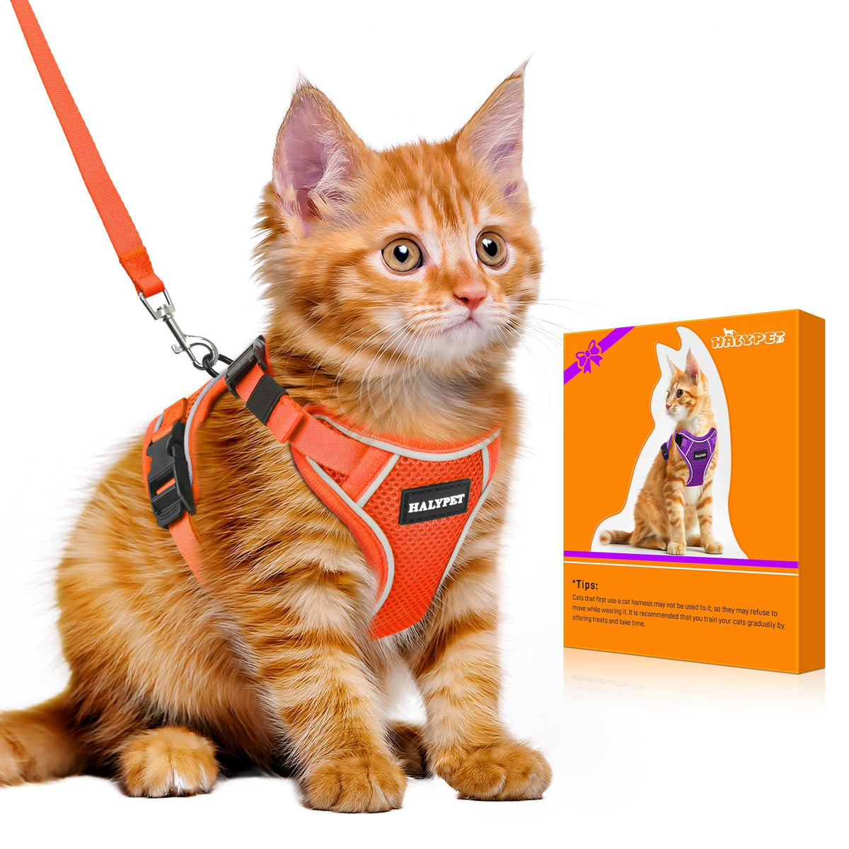 Cat Harness and Leash Set,Escape Proof Kitten Harness,Orange