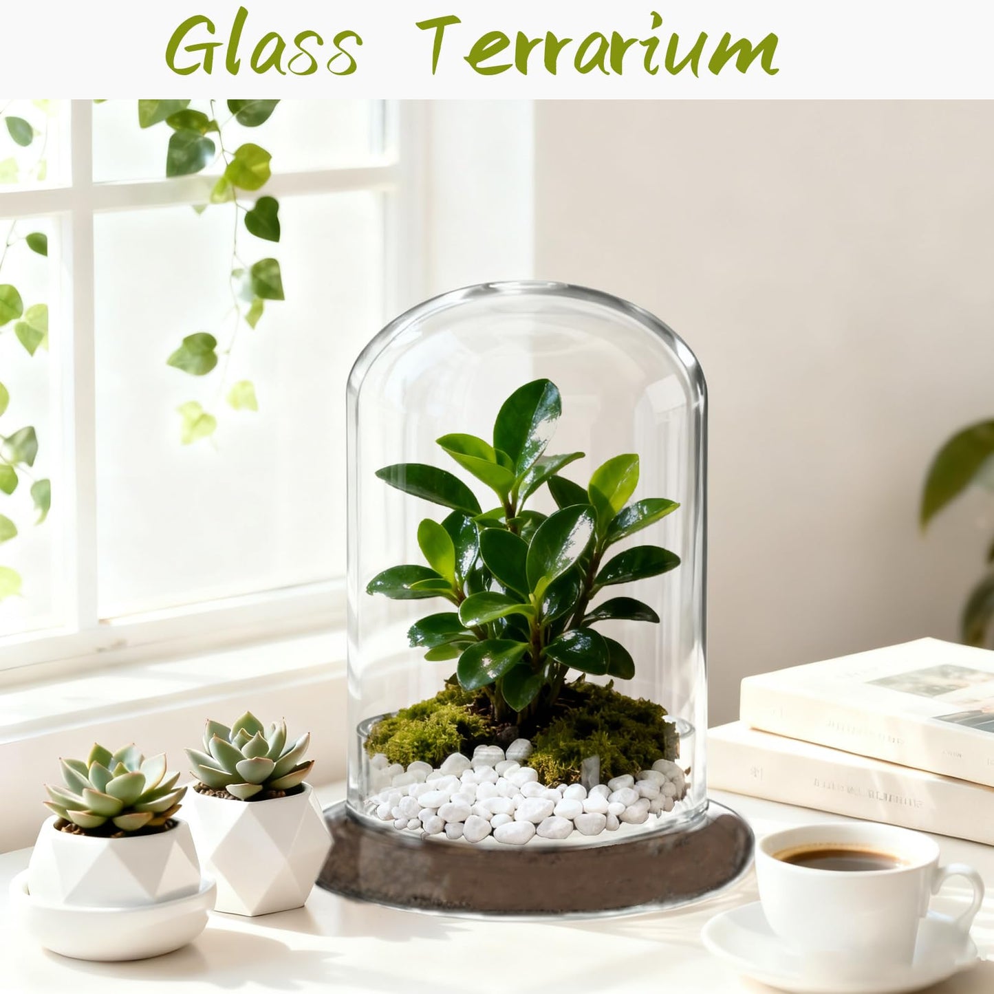 PEDOBALI 2 Pcs 5.9 x 8.46 Inch Glass Terrarium with Airhole and Base Clear Glass Dome Planter Display Container Plants Not Included for Office Desk, Balcony, Coffee Table