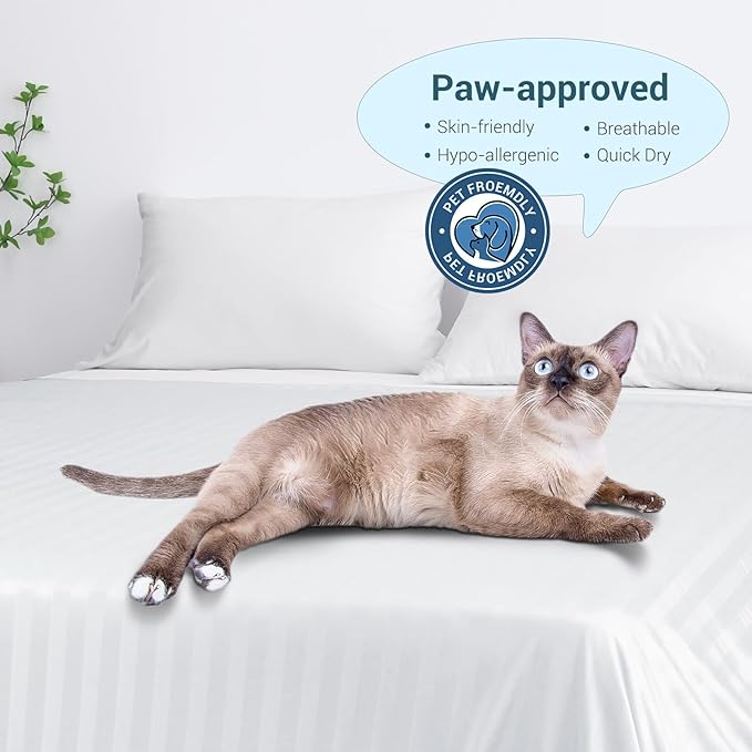 Elegear Revolutionary Cooling Blanket Twin, Absorbs Heat to Keep Body Cool for Night Sweats, Double Sided Arc-Chill3.0 Cool Fiber Q-Max>0.5, Lightweight Summer Cold Blankets Sleeping 59" x 79"