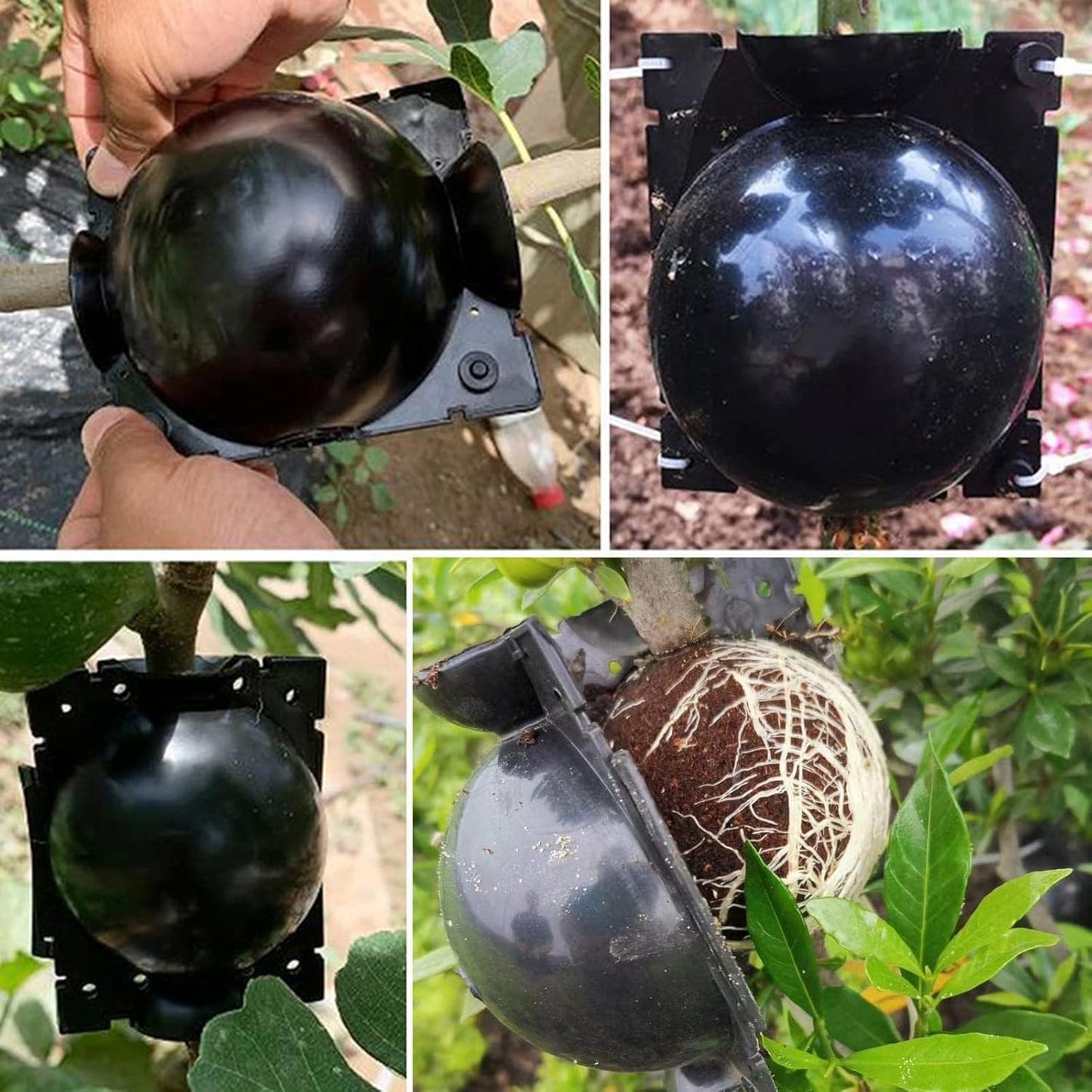 20PCS Propagation Stations Air Layering Pods, Reusable Rapid Root Plugs Air Layering Propagation Kit Grafting Tool Take Root Box Plant Propagation Ball Root Starter for Plant Cuttings Tree