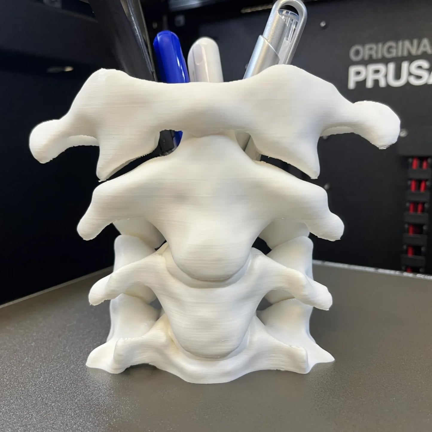 TIME&TRAVE Unique Spine Pen Holder for Desk, Pencil Holder Desk Organizers, Office Supplies Decorations Idea Gift for Doctors, Nurses, Chiropractors