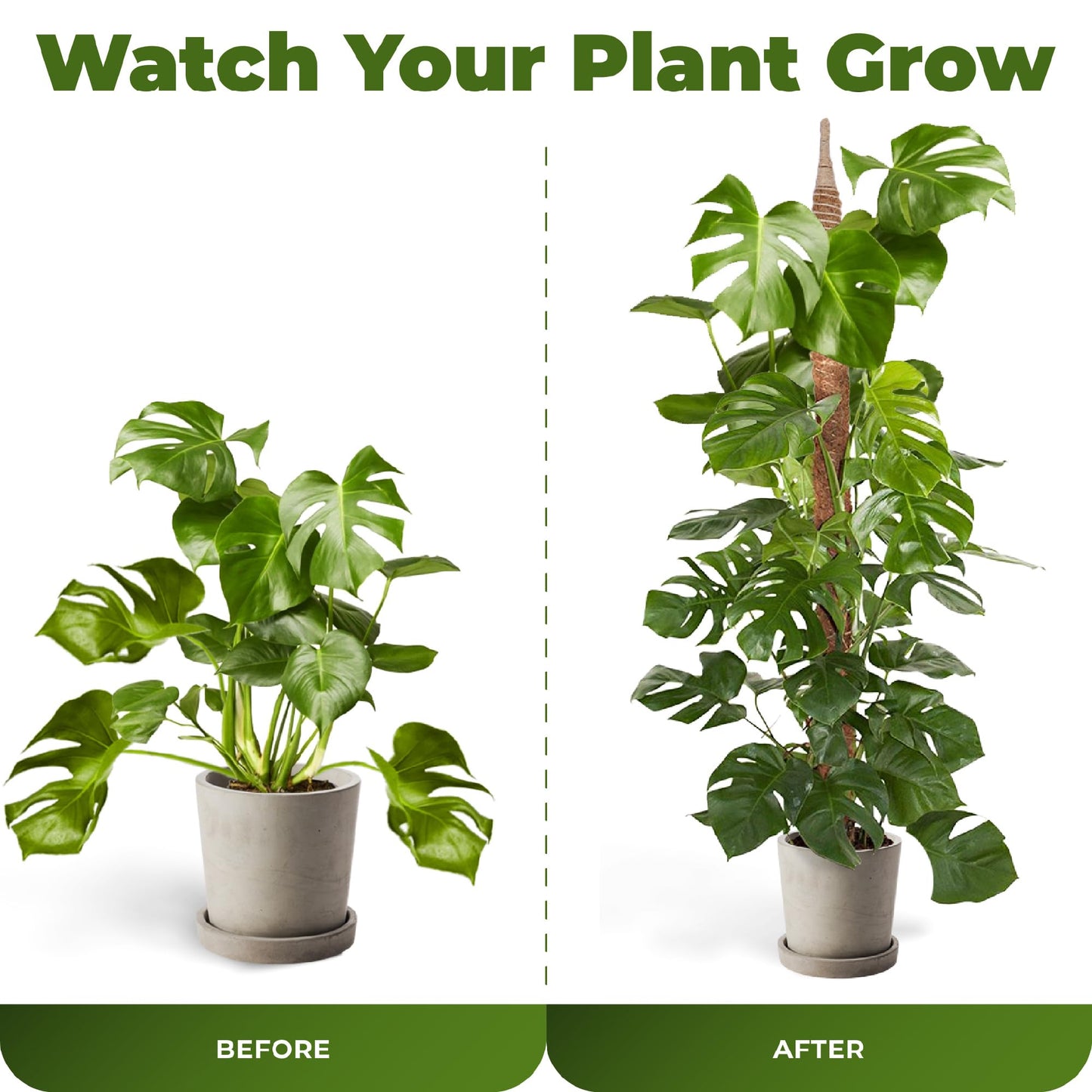 2 Pack 48'' Bendable Moss Pole Monstera Plant Support for Climbing Indoor Plants - Stakes for Potted Climbers - Tall Sticks Indoor Trellis for Houseplants - Accessories for Monstera Pot