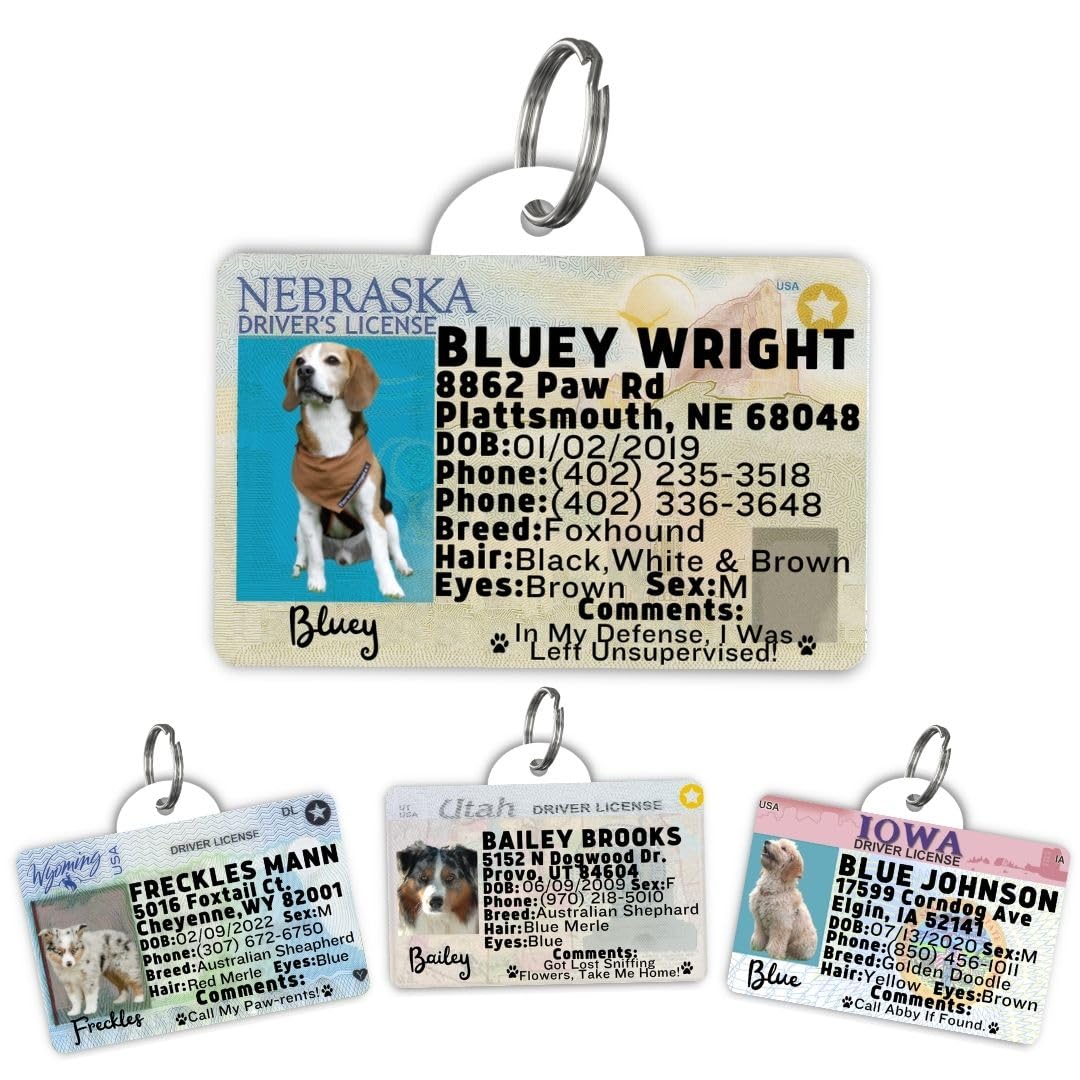 Dog Tags Personalized, Dog ID License Tag for Pets (Washington, Tag)