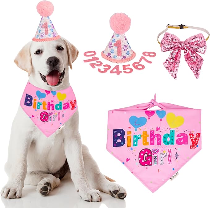 ADOGGYGO Dog Birthday Hat, Pink Birthday Girl Bandana Set, Small