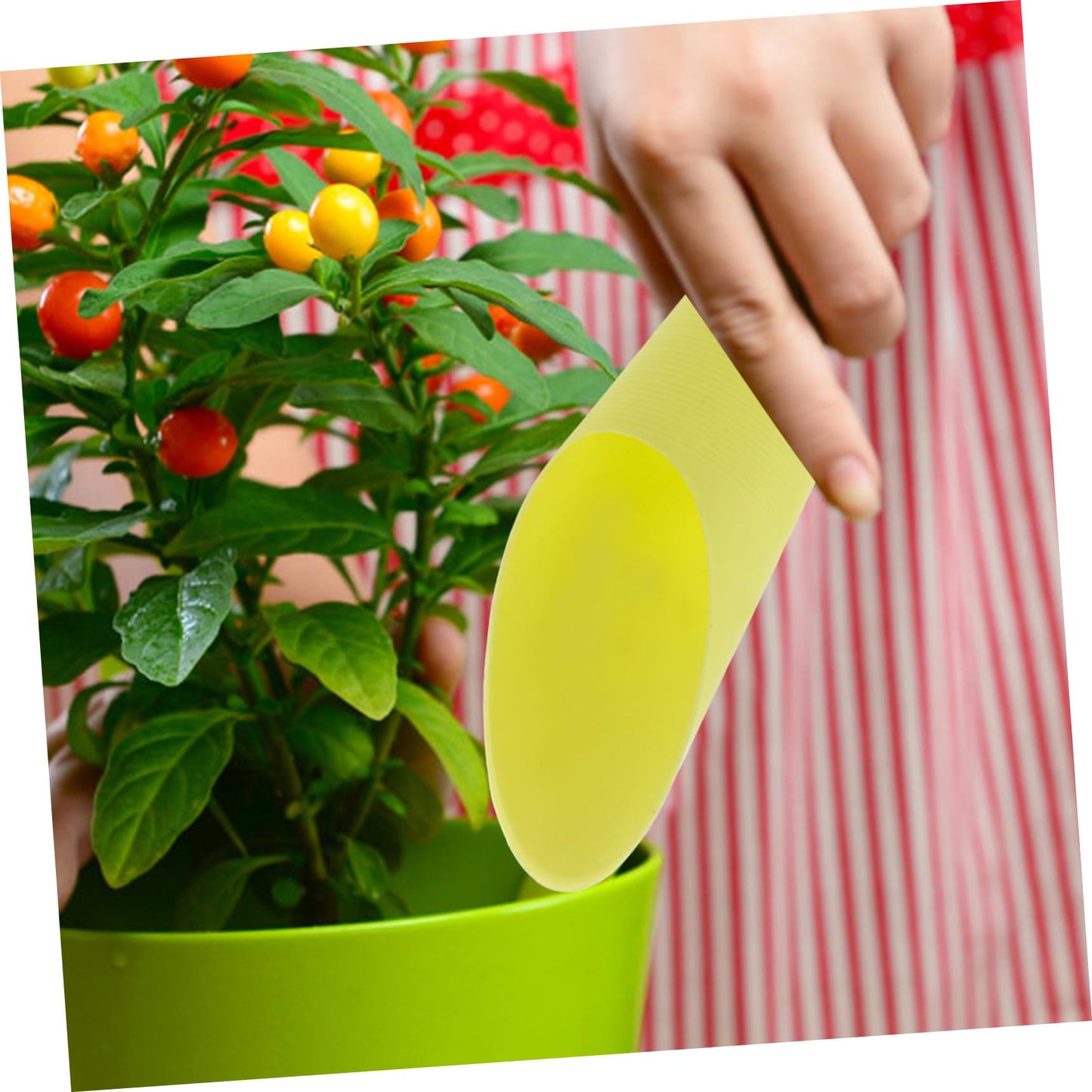LIOOBO 5pcs Gardening Soil Shovel Multifunction Planting Shovel Bonsai Soil Scoop for Landscape Random Color