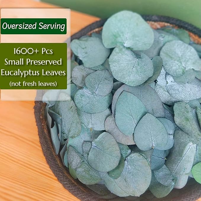 3200Preserved Real Eucalyptus Leaves Small, Pure Natural Bulk Eucalyptus, Biodegradable Wedding Leaves Confetti for Anniversaries, Birthday, Graduation, Bridal Showers, Party Decor