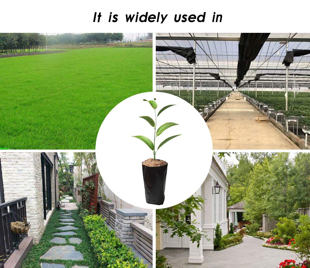 Frjjthchy 100 PCS Thicken Plastic Nursery Bags for Plants Fruit Flower Grow Bags Seedling Pots (7.87x11.81 in)