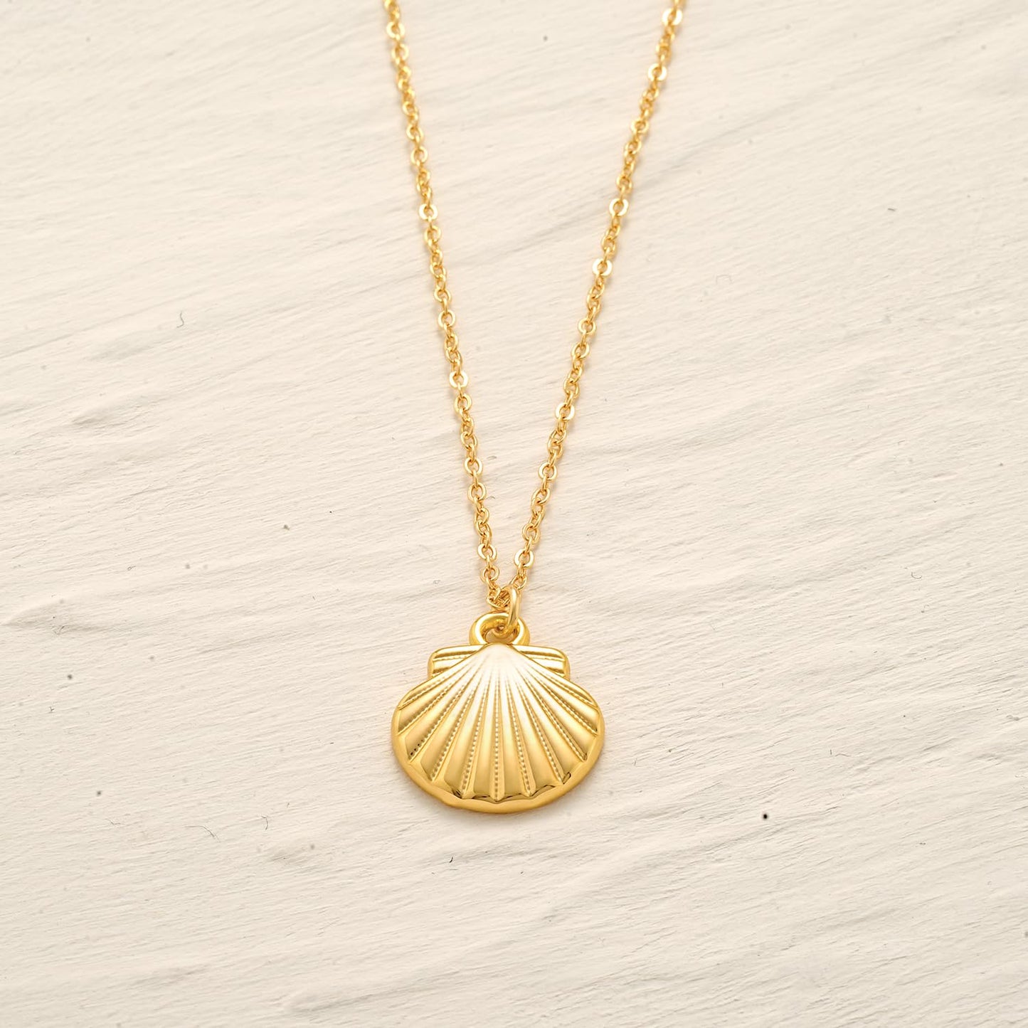 MYEARS Women Gold Necklace Clam Shell Pendant 14K Simple Dainty Chain Everyday Summer Beach Jewelry