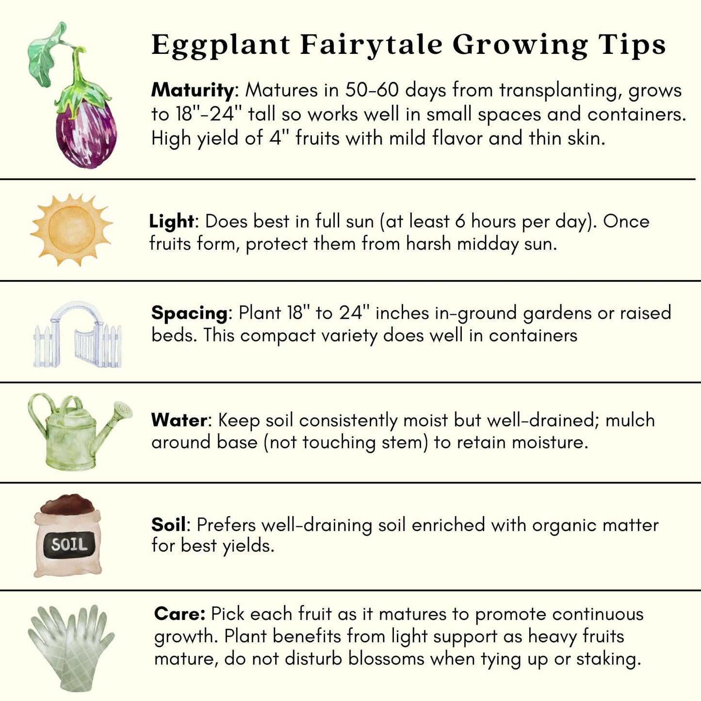 Clovers Garden Eggplant Fairytale Plants - Two (2) Live Plants – Non-GMO - Not Seeds - Each 4" to 8" Tall – in 4" Inch Pots -Striped Lavender-White Fruit, High-Yield
